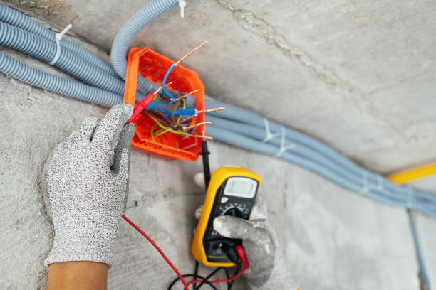 Best Circuit Breaker Repair  in Janesville, IA
